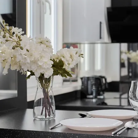 Apartment Black & White Studio With A View By Renters Breslau